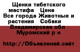 Щенки тибетского мастифа › Цена ­ 80 - Все города Животные и растения » Собаки   . Владимирская обл.,Муромский р-н